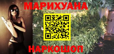 шишки Будённовск