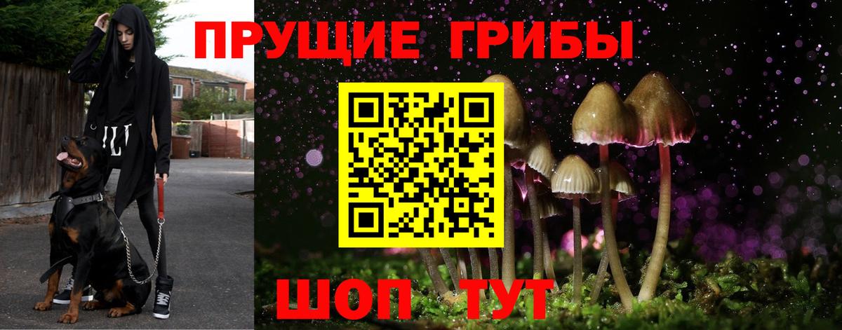 Шадринск  Галлюциногенные грибы MAGIC MUSHROOMS  Вход с VPN 